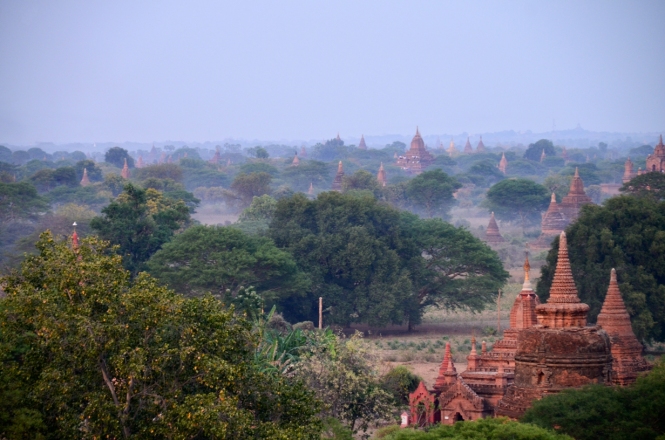 Pagodenfeld in Bagan im Nebel.
