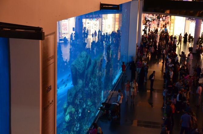 Besucher bestaunen das riesige Aquarium der Dubai Mall.